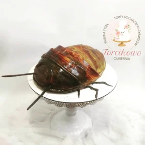 tort artystyczny karaluch torcikowo u Pauliny