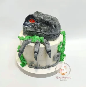 tort artystyczny torcikowo u Pauliny